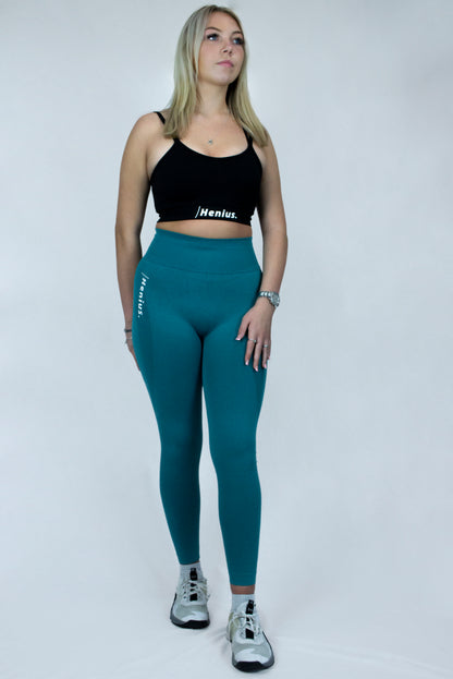 Seamless Leggings